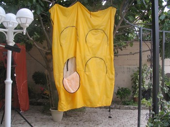 protection hivernage arbustes
