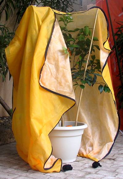 abri pour les agrumes l'hiver