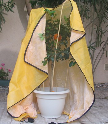protection houssiver des arbustes